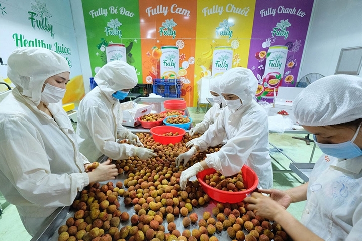 Bắc Giang chủ động tháo gỡ khó khăn, tìm đầu ra cho nông sản giữa 'tâm dịch' Covid-19