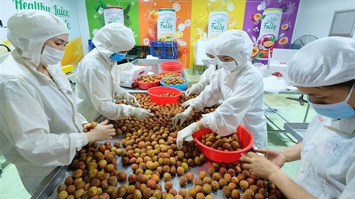 xuat khau ngay 29627 diem sang khu vuc fdi lap doan kiem tra cac cong ty nhap gao an do o to trung quoc gian nan lay long khach viet