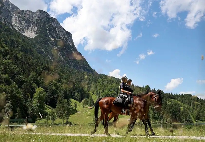 Hoạt động của vợ các nhà lãnh đạo châu Âu tại Hội nghị thượng đỉnh G7