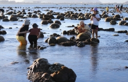 Chiêm ngưỡng bãi rạn san hô -'kho báu' lộ thiên ở biển Ninh Thuận