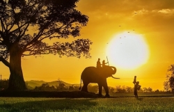 Nhiếp ảnh gia Việt Nam lại được gọi tên tại cuộc thi mang chủ đề #Family2020