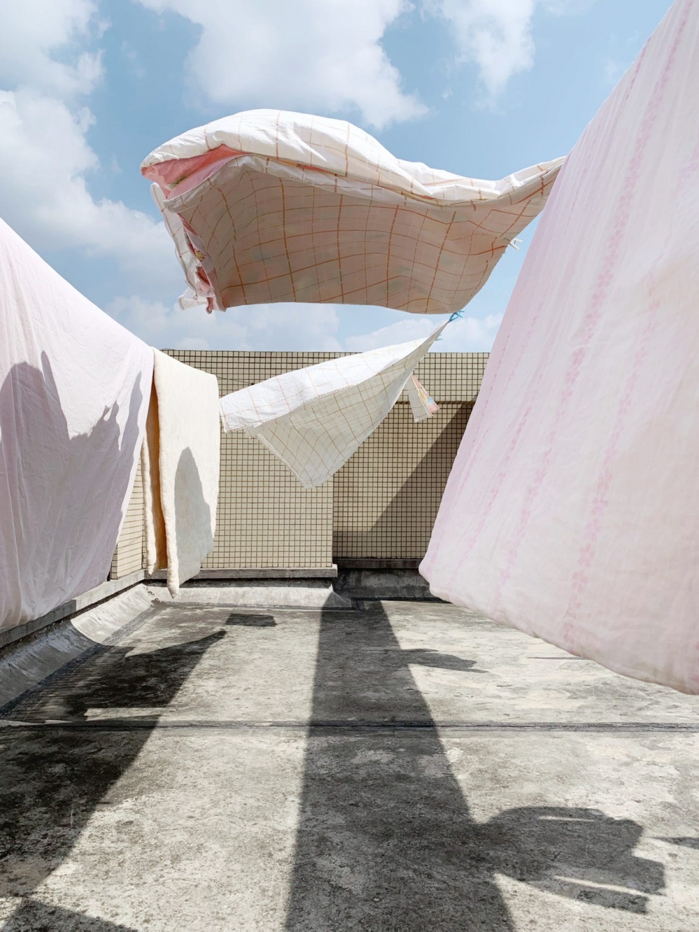 Giải thưởng Nhiếp ảnh iPhone 2020: Những tuyệt tác được chụp bằng Iphone