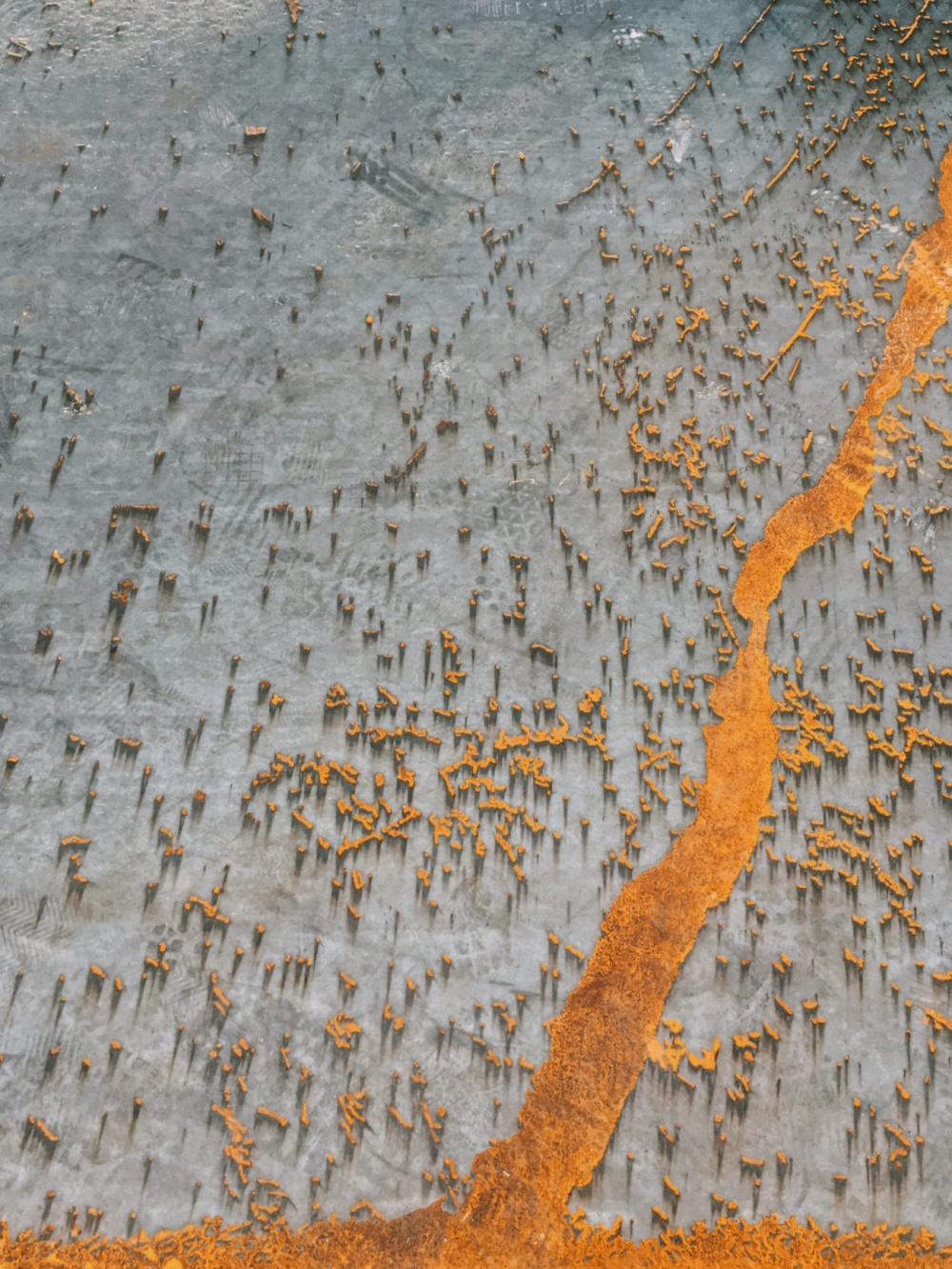 Giải thưởng Nhiếp ảnh iPhone 2020: Những tuyệt tác được chụp bằng Iphone