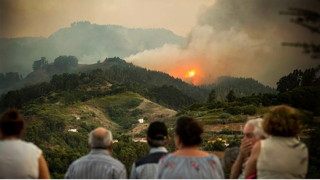 hi nh a nh ca c vu chay rung lo n tren the gio i trong tho i gian ga n day