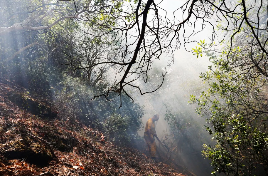 hi nh a nh ca c vu chay rung lo n tren the gio i trong tho i gian ga n day