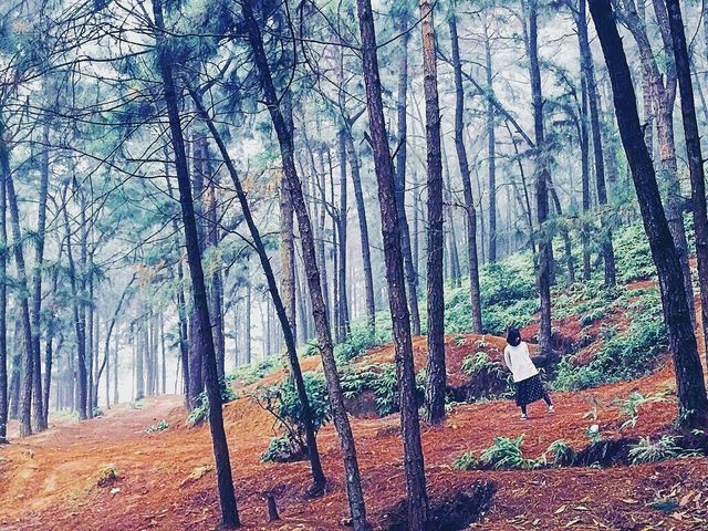 cac diem cam trai song ao tuyet dep ngay gan ha noi cho dip nghi le