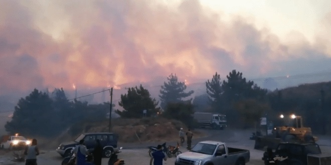 so tan hang tram du khach do chay rung tai hy lap