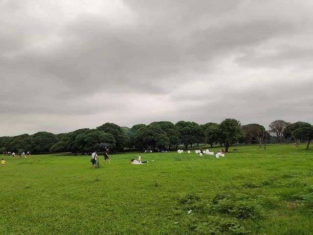 cac diem cam trai song ao tuyet dep ngay gan ha noi cho dip nghi le