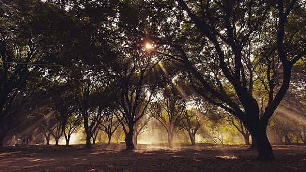 cac diem cam trai song ao tuyet dep ngay gan ha noi cho dip nghi le