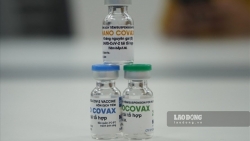 Bộ Y tế sẽ xem xét cấp phép khẩn cấp vaccine Covid-19 Nanocovax trong tháng 8