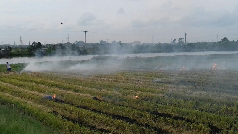 chinh sach moi co hieu luc tu thang 82022 rut tiet kiem truoc han van huong lai cao phat tien khi khong phan loai rac