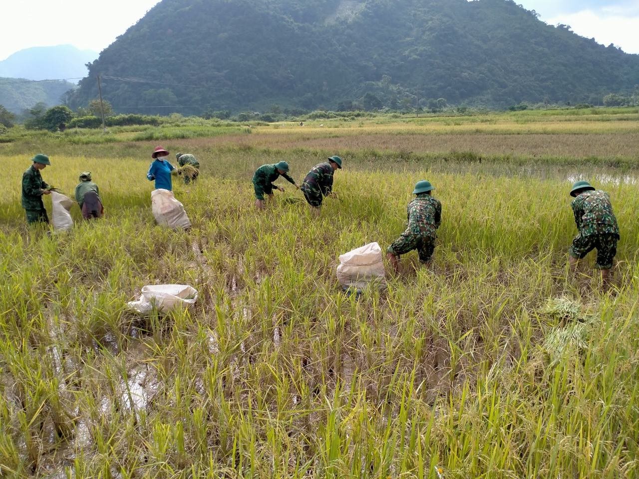 Bộ đội biên phòng Hướng Lập, Quảng Trị hỗ trợ người dân ứng phó với bão Noru