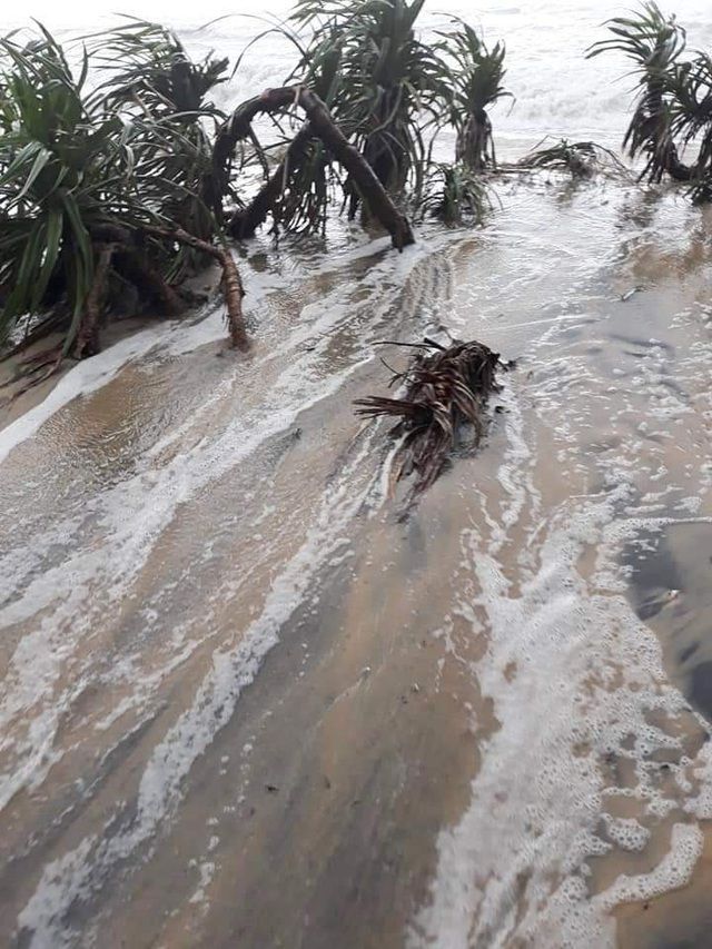 Nước sông Hương gần tràn bờ, Thừa Thiên Huế khẩn trương đối phó với tình trạng mưa lũ