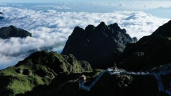 Du lịch Sapa, săn 'biển' mây bồng bềnh đẹp như tiên cảnh trên đỉnh Fansipan