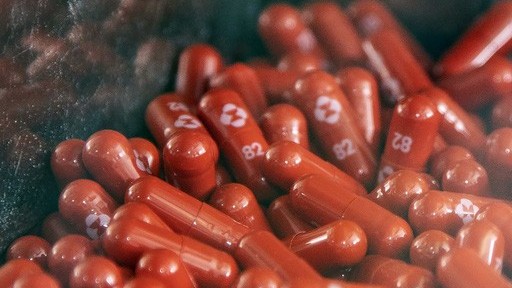 thuoc khang virus molnupiravir hy vong moi cho benh nhan covid19 dieu tri tai nha