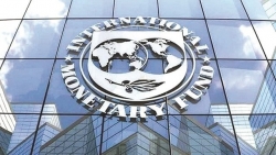 IMF: Nền tảng phục hồi kinh tế toàn cầu khá vững chắc, nhưng còn nhiều rủi ro