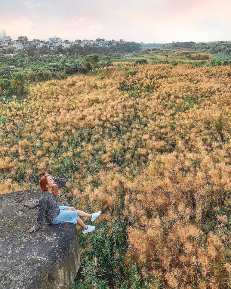 Đẹp mê mẩn đồng cỏ lau trắng muốt tại Hà Nội Đẹp mê mẩn đồng cỏ lau trắng muốt tại Hà Nội