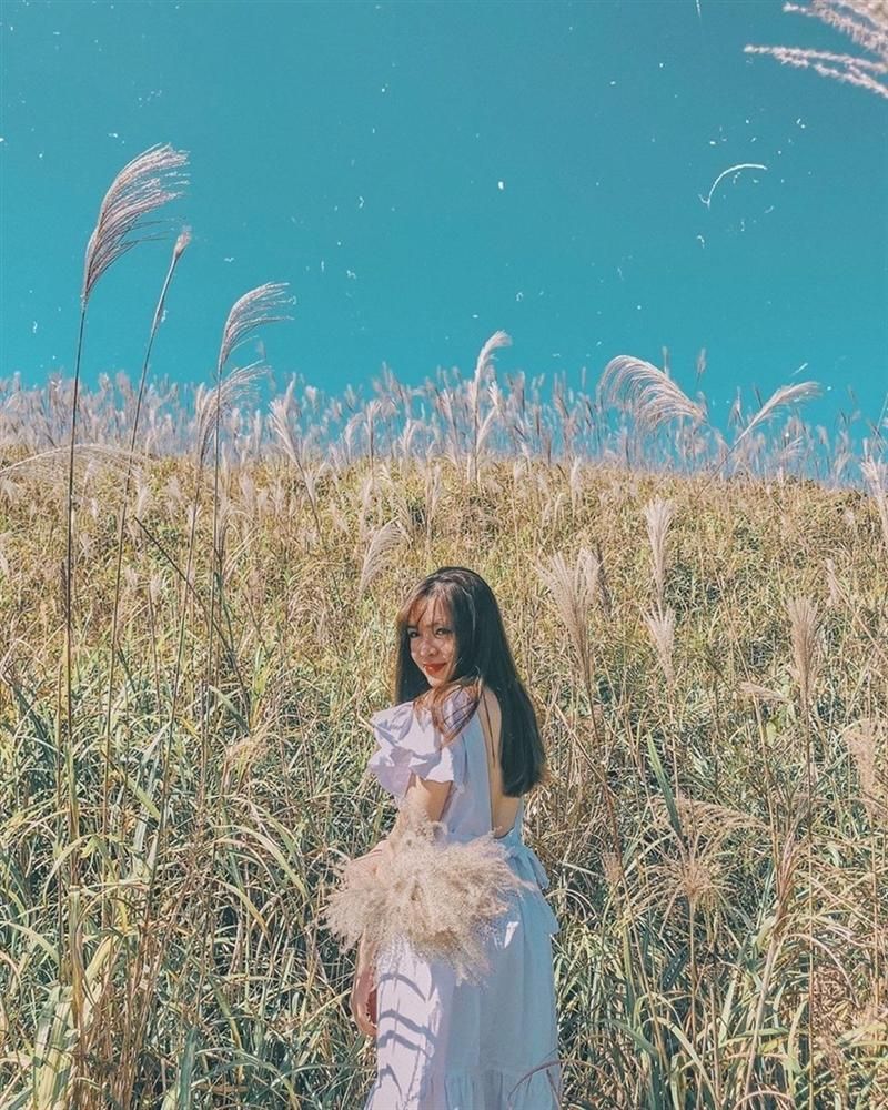 Đẹp mê mẩn đồng cỏ lau trắng muốt tại Hà Nội Đẹp mê mẩn đồng cỏ lau trắng muốt tại Hà Nội