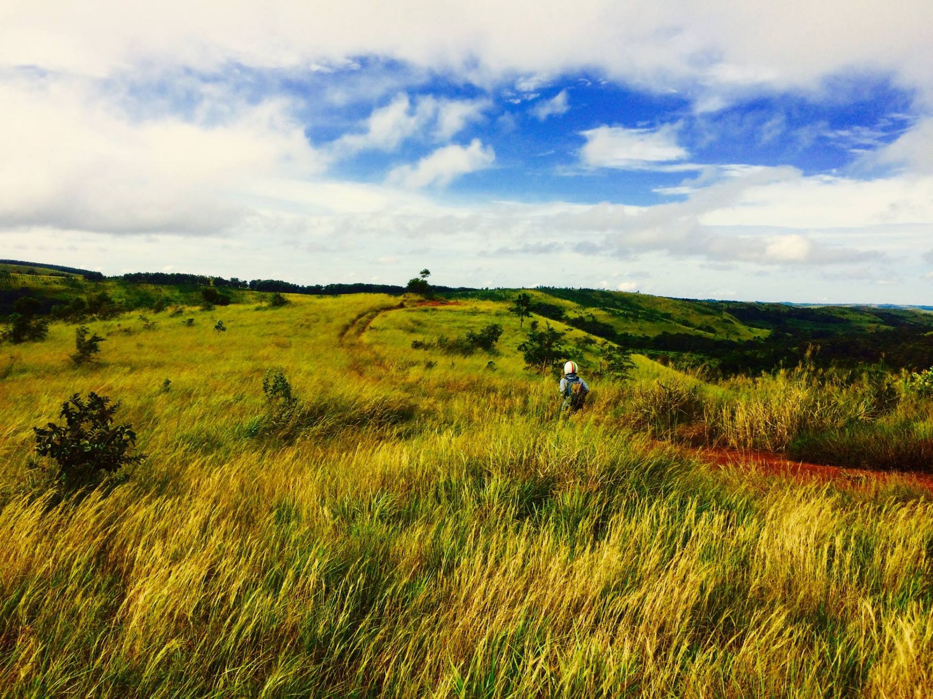 10 diem den khong the bo qua nam 2020 do forbes gioi thieu