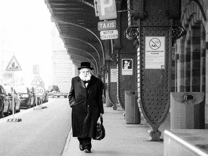 19 buc anh bat mat nhat nam 2019 do flickr binh chon