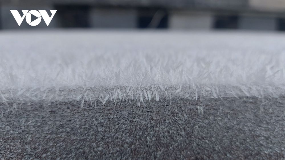 Sương muối, băng giá phủ kín đỉnh Fansipan