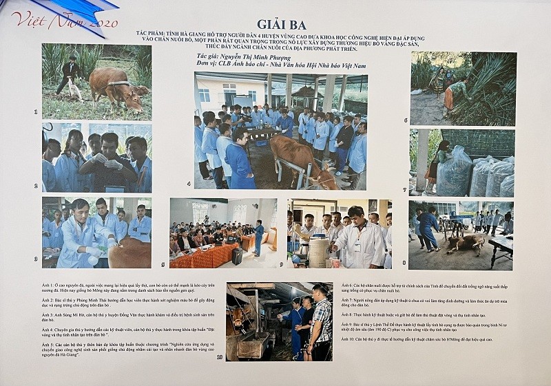 Báo Thế giới & Việt Nam đoạt giải B bìa báo Tết ấn tượng năm 2021