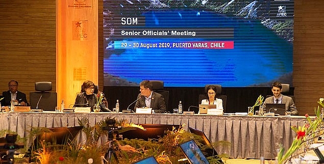 quan chuc cao cap apec tich cuc chuan bi cho tuan le cap cao ky niem 30 nam thanh lap dien dan