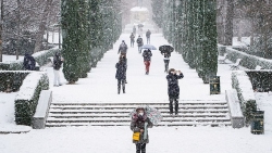 Tây Ban Nha chìm trong tuyết rơi dày nhất nửa thế kỷ do Bão Filomena, giao thông tê liệt cục bộ