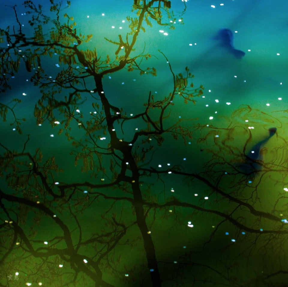 hoa anh dao nhat ban tu hanami den yozakura