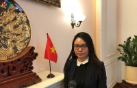 Đại sứ quán Việt Nam tại Nga xây dựng các kịch bản ứng phó với dịch Covid-19