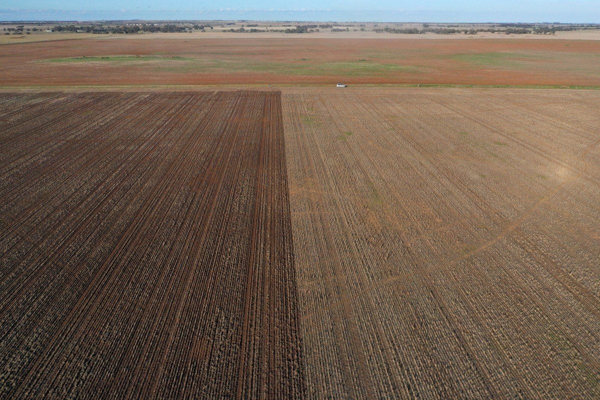 lieu thoa thuan thuong mai tu do trung quoc australia co the lam diu con sot ve virus corona