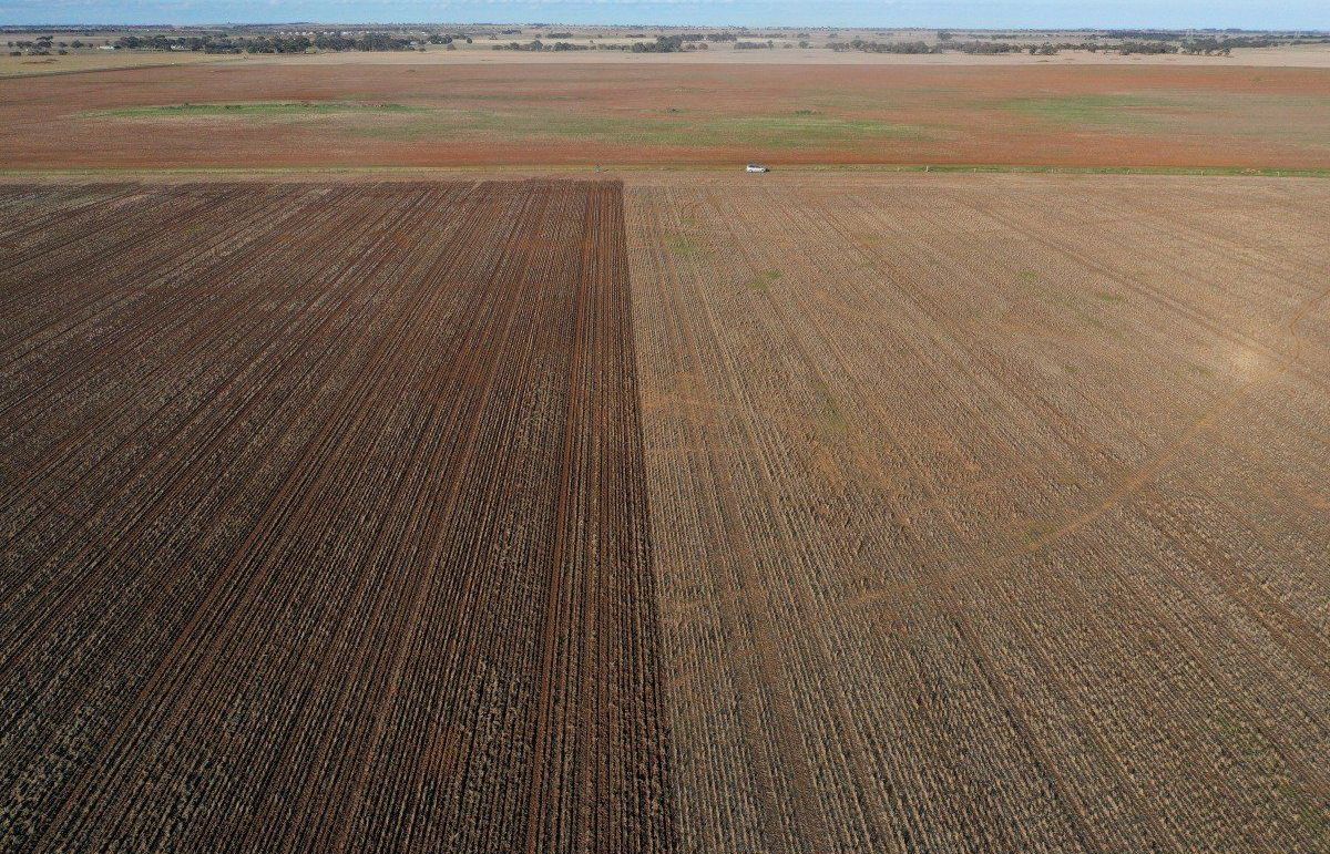 Liệu Thỏa thuận thương mại tự do Trung Quốc-Australia có thể làm dịu cơn sốt về virus corona?