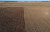 sau thit bo va lua mach du lich la doi tuong chiu don tiep theo trong cang thang australia trung quoc