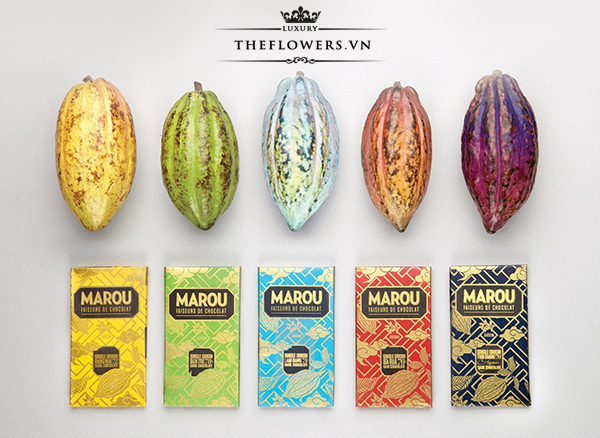 Marou: Hành trình định vị chocolate Việt Nam trên bản đồ thế giới
