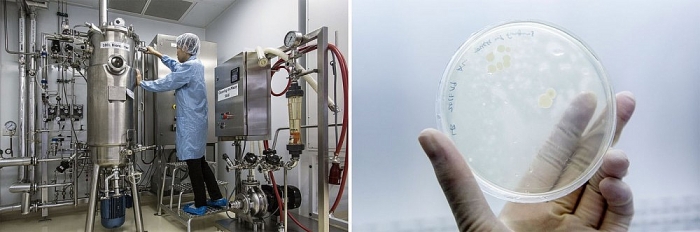 8 cach xu ly rac 2 ty tan rac thai cua the gioi la gi