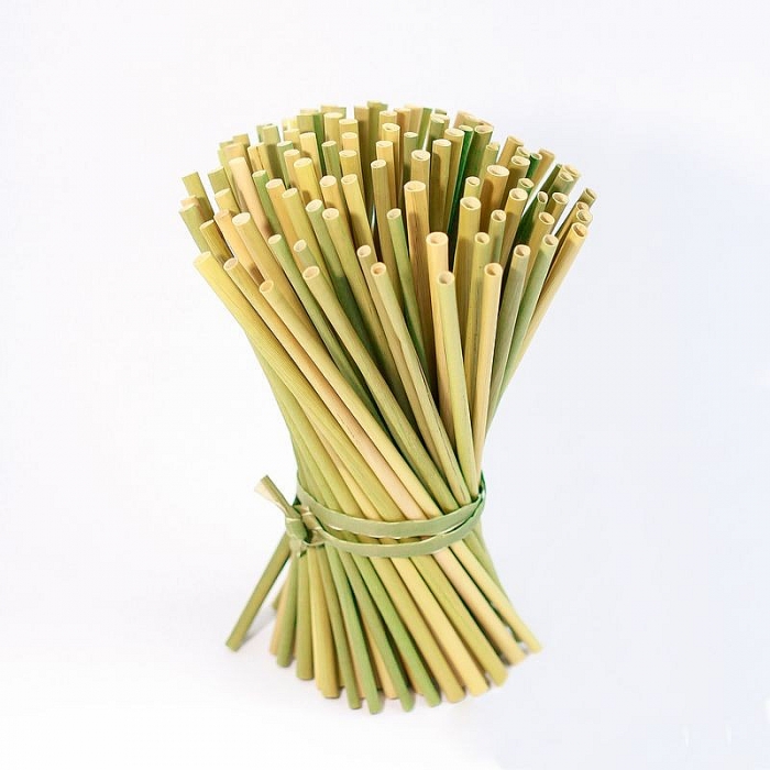 8 cach xu ly rac 2 ty tan rac thai cua the gioi la gi