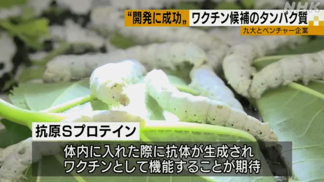 0516 photo 1 1596880492177891951887