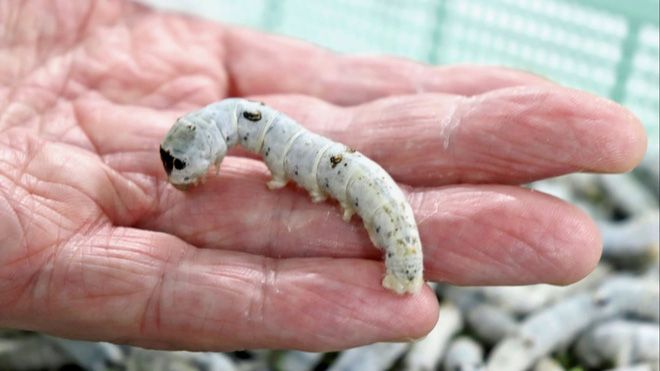 0618 photo 1 1596880415617189951827