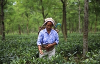 lo ngai thuong chien doanh nghiep dai loan tim den thi truong an do