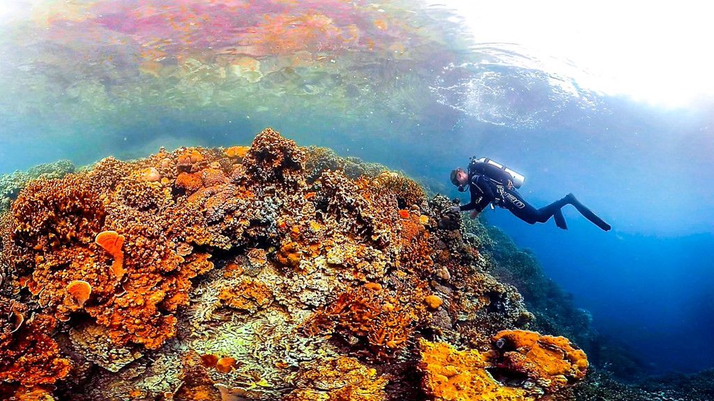 thien duong noi ha gioi maldives va 4 quoc dao khac bi de doa xoa so