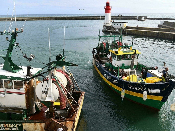 Pháp kêu gọi EU hành động chống lại Anh về việc đánh bắt cá