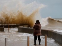 hoa hoan nha dan tai uae khien 7 tre em thiet mang