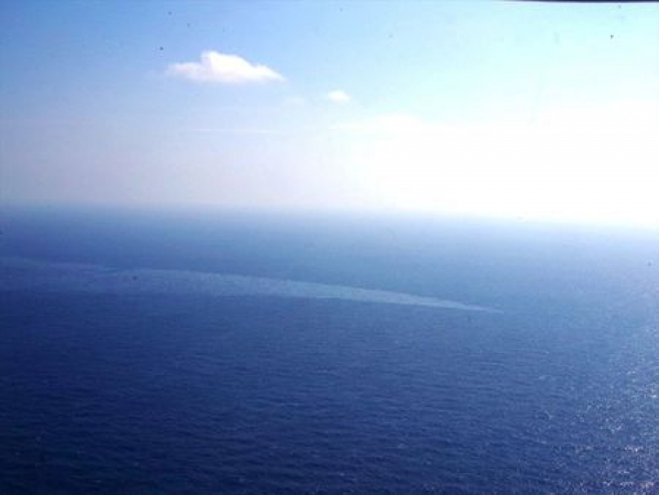 su co dam tau cho dau sanchi so vet dau loang tang nhanh