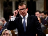 Canada: Chủ tịch Ủy ban Ngân khố quốc gia từ chức, sẵn sàng cho "thử thách mới"