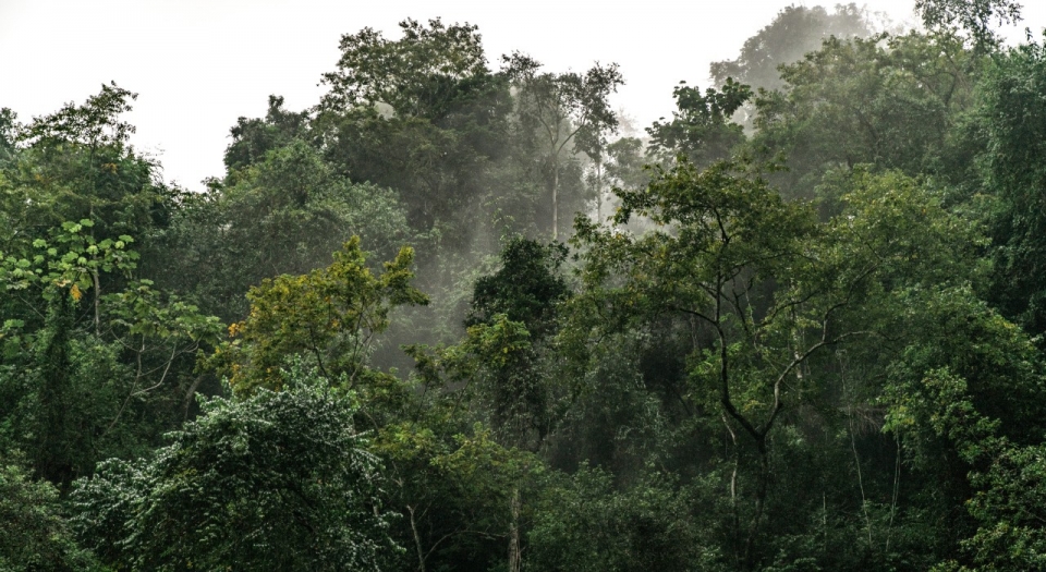 viet nam ung ho lhq xu ly cac thach thuc do bien doi khi hau doi voi hoa binh an ninh quoc te