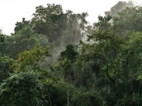 phap duc cung dam nhiem vai tro chu tich luan phien hdba lhq