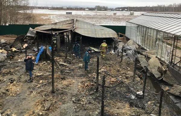 Đại sứ quán Việt Nam tại Nga lên tiếng về vụ cháy khiến 8 người tử vong ở tỉnh Moscow