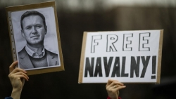EU nêu điều kiện với Nga trong vụ bắt giữ ông Navalny