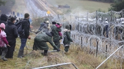 Quyết chặn người di cư, Ba Lan bắt tay dựng tường bê tông khủng dọc biên giới Belarus