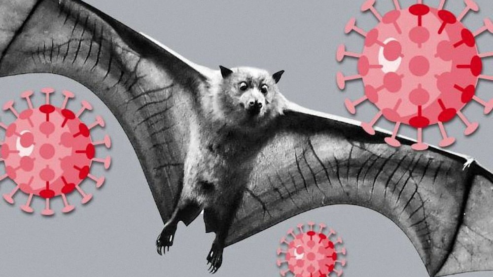 WHO cảnh giác về một loại virus corona mới